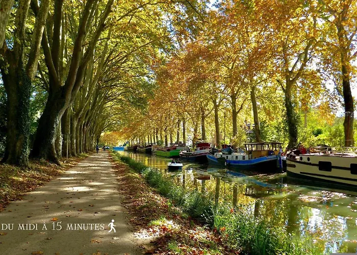 Capitole La Voute Rose アパート *