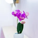 Apartment Capitole La Voute Rose