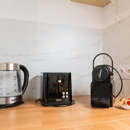 Apartment Capitole La Voute Rose Toulouse