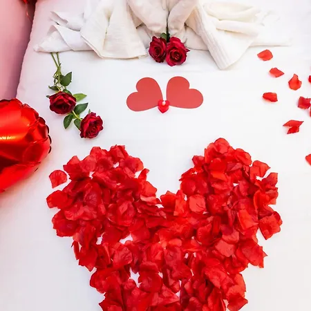 Capitole La Voute Rose Toulouse